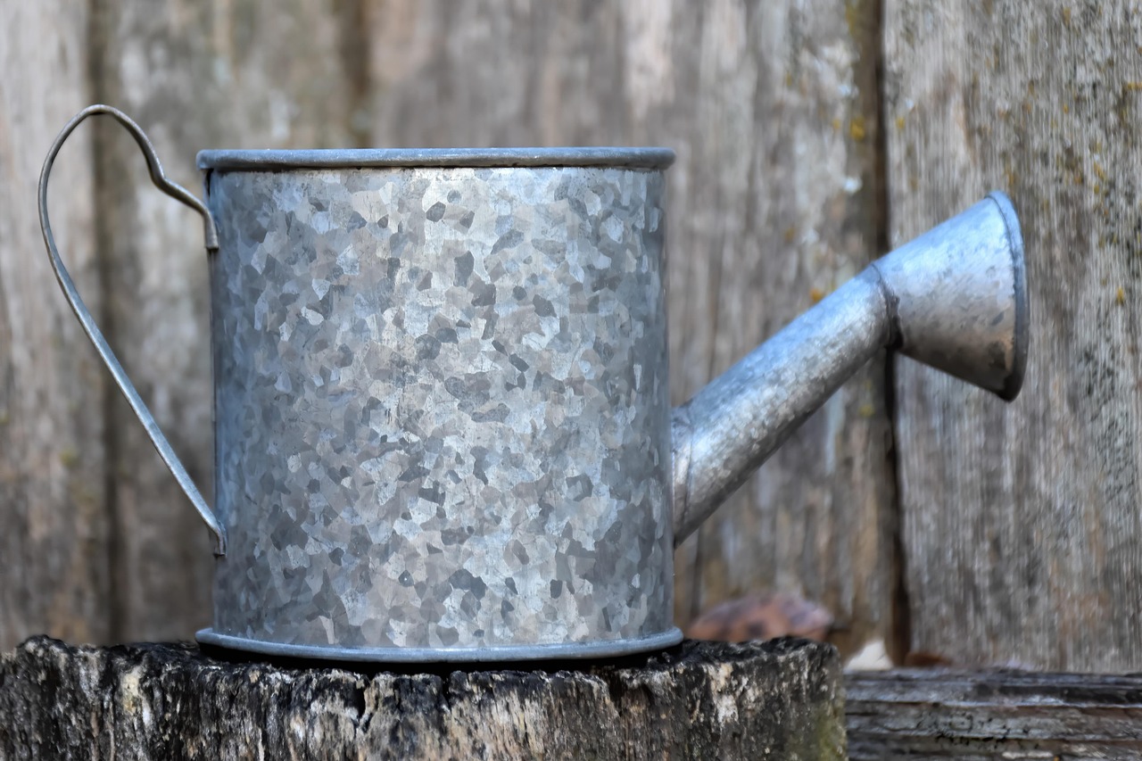 Immagine che illustra radici danneggiate da un eccesso di acqua in inverno.