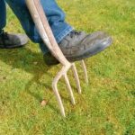 Giardiniere mentre cura un prato verde rigoglioso, evitando errori comuni nella manutenzione del giardino.