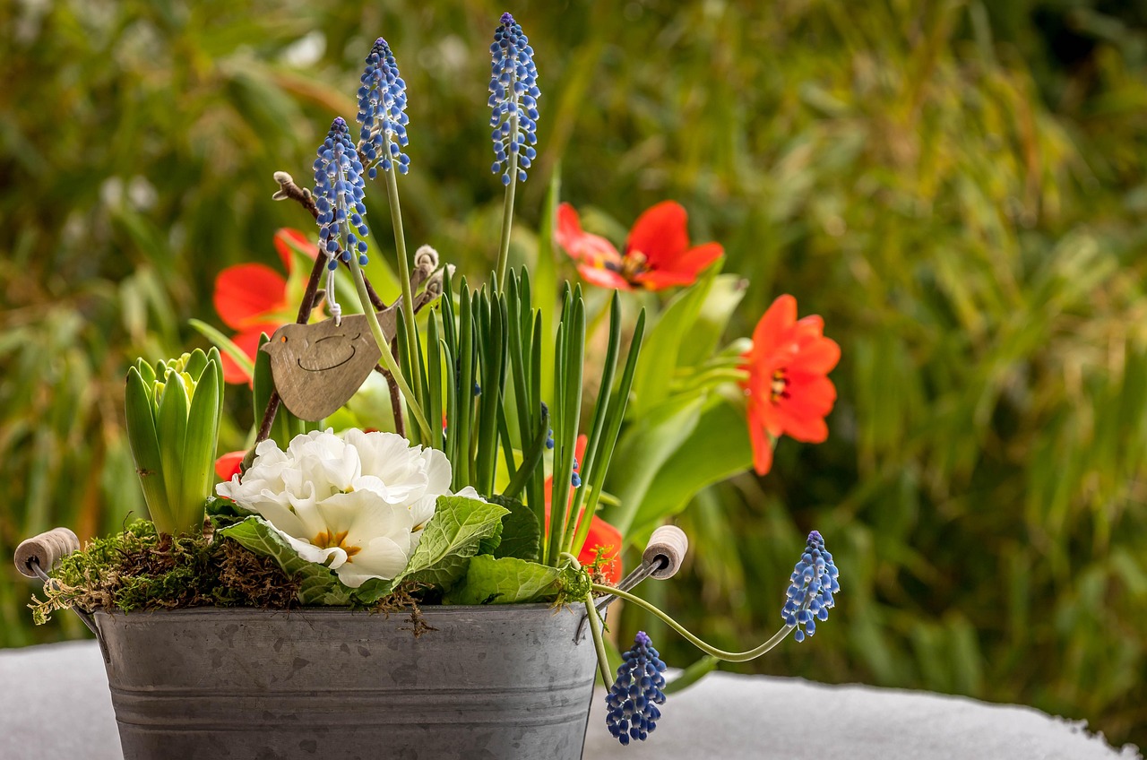 Tre piante da balcone ideali per attirare uccelli in inverno.